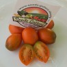 Summer Temptation Tomato Seeds | 1,75 €