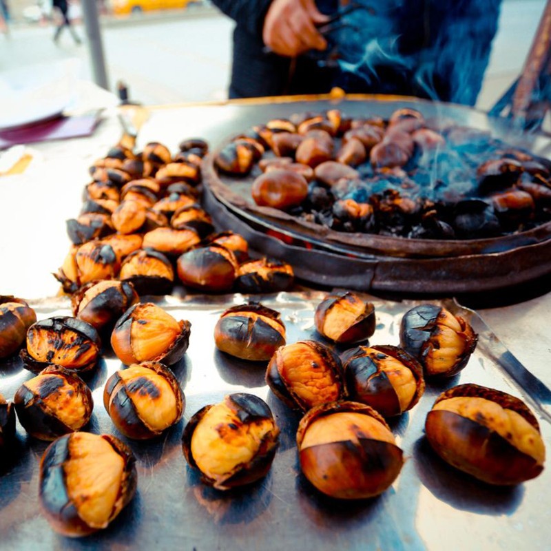 Edelkastanie - Esskastanie Samen (Castanea sativa) | 2,50 €