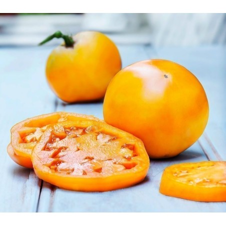 Golden Jubilee Tomato Seeds | €1.55