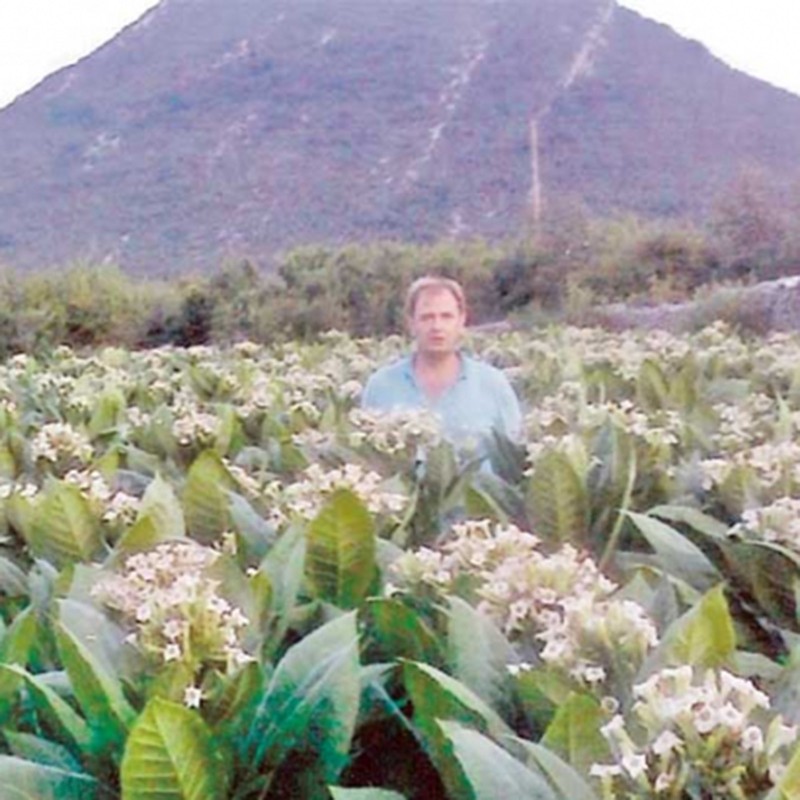 Tobacco seeds Hercegovacki Ravnjak (32 leaves) | €2.45