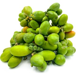 3.95 Melinjo Σπόροι (Gnetum gnemon)