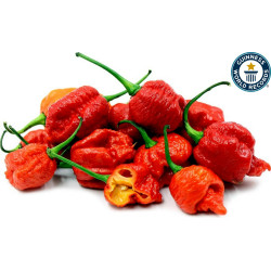 Semillas de Pimiento Carolina Reaper rojo y amarillo 2.45 - 1