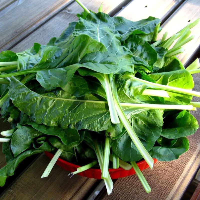 Mangold Samen White Silver | 1,45 €