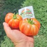 Semillas de Auténtico Tomate de Muchamiel | 1,85 €