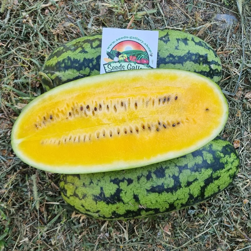 Watermelon seeds Yellow Banana | €2.35