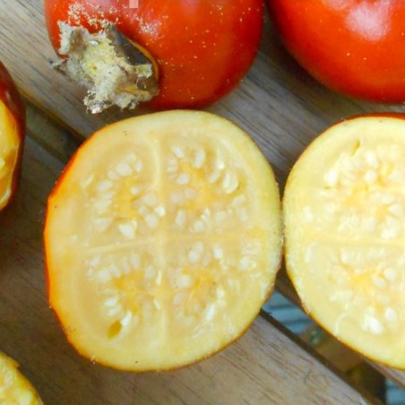 Fuzzyfruit nightshade seme (Solanum candidum)