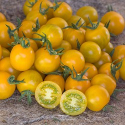 Goldkrone Cherry Tomato Seeds