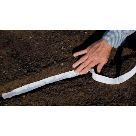 Saatband Möhre - Karotte ’Nantes’ | 1,90 €