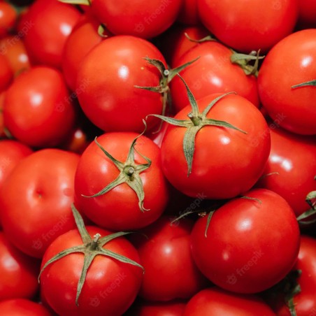Tomato seeds Lova | €1.90