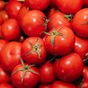 Tomato seeds Lova | €1.90