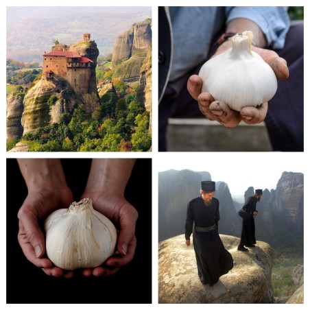 Semințe de caprifoi dulce (Lonicera caerulea) -40°C | 3,00 €