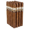 HAV. COROJO Tobacco Seeds | 2,45 €