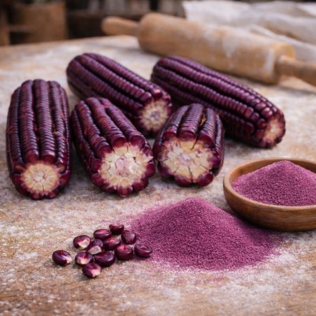 Red Corn Seeds 8-row heirloom (Crveni Osmak) | €5.00