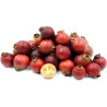 Strawberry Guava Seeds (Psidium cattleianum)