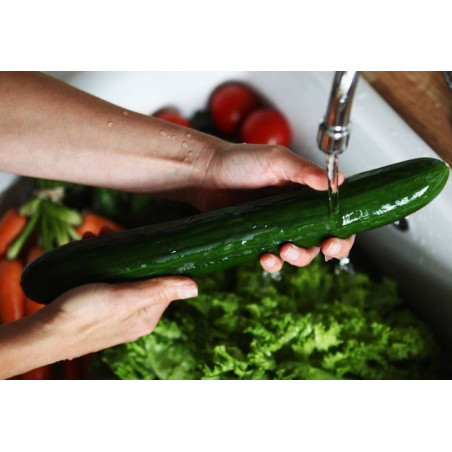 Salatgurke Samen 'Sensation'