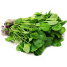 Semillas De Berro de Agua o Mastuerzo de Agua (Nasturtium Officinale) | 2,45 €