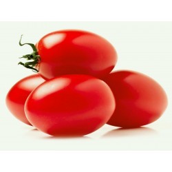 “Zomok” Tomato seeds
