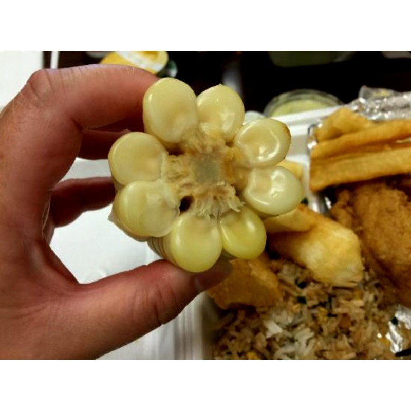 A világ legnagyobb óriáskukorica vetőmagja Cuzco - Cusco | 2,25 €