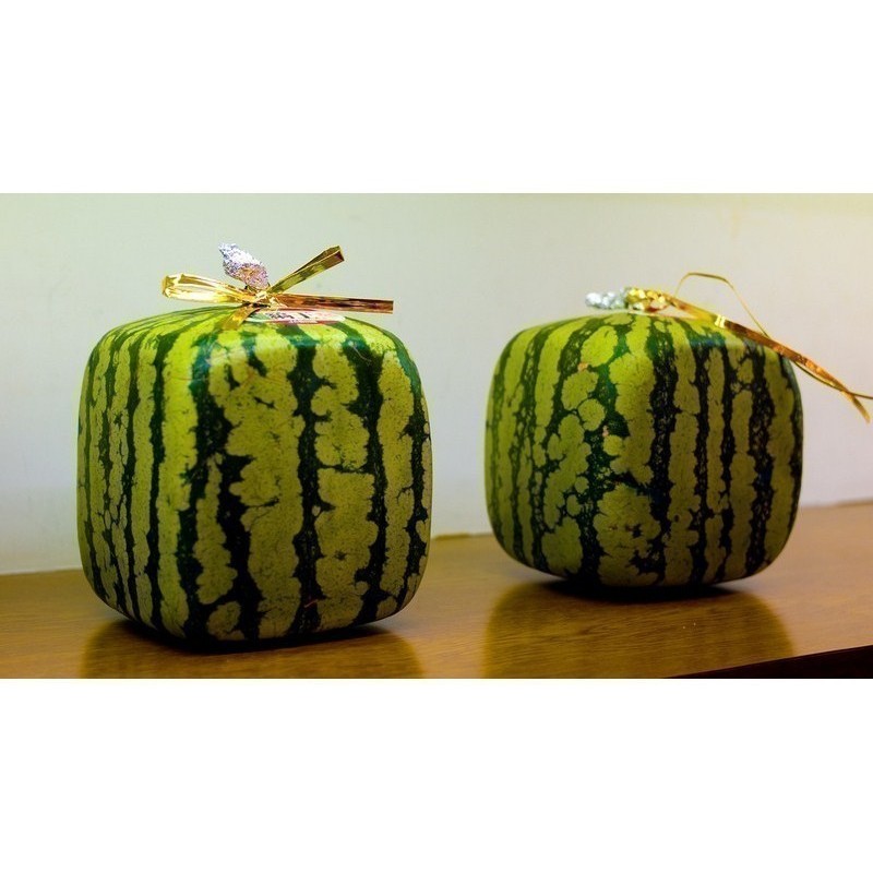 Semi di Anguria quadrata | 3,00 €