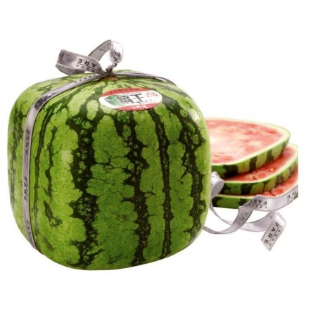 Fyrkantig vattenmelon Frön | 3,00 €