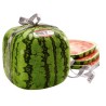 Fyrkantig vattenmelon Frön | 3,00 €
