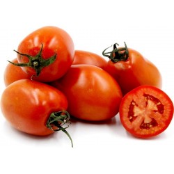 Tomato Seeds ROMA NANO