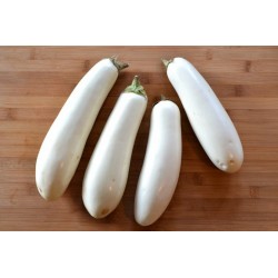 White Eggplant Seeds