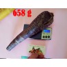 Giant Carrot Seeds Purple Dragon | 1,55 €