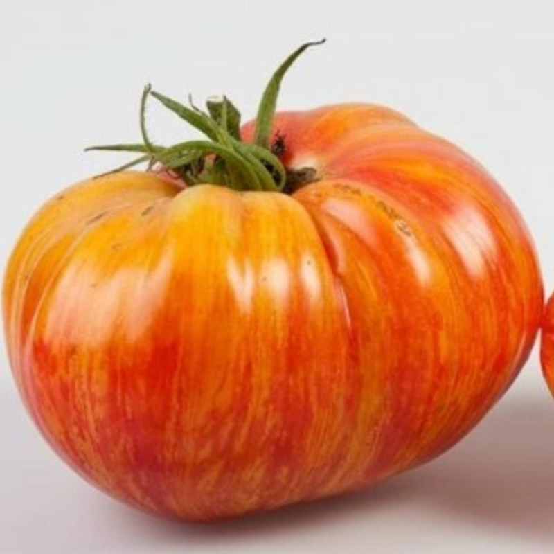 Beefsteak Tomato Seeds MR STRIPEY | 1,55 €