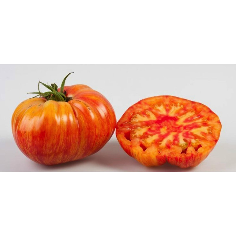 Beefsteak Tomato Seeds MR STRIPEY | 1,55 €