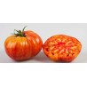 Sementes de tomate Mr Stripey | 1,55 €