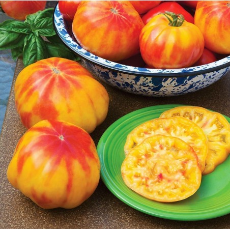 Tomate Mr Stripey Tomaten Samen | 1,55 €