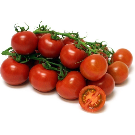 Heirloom Tomato Seeds Sweet Princess | € 1,85