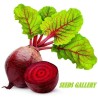 1400 Seeds Egyptian Beetroot | €8.00