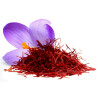 Saffron Seeds (Saffron crocus) | €2.85