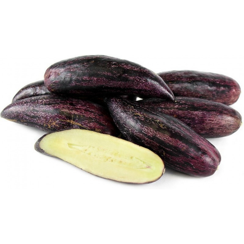 Rare Giant Purple Pepino Seeds (Solanum muricatum)
