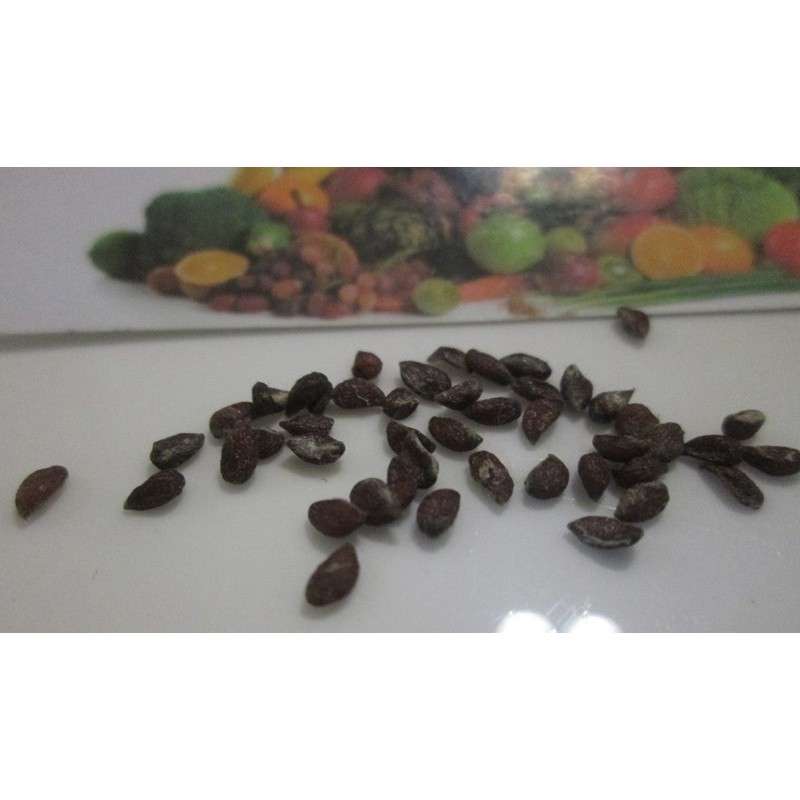 Ananas Seeds "pineapple" | 3,50 €