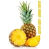 Ananas frön (Ananas comosus) | 3,50 €