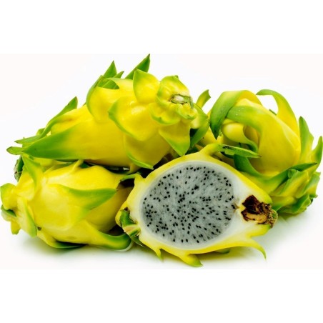 Pitaya Amarela, Sementes de Fruta do Dragão Amarela (Selenicereus megalanthus) | 2,50 €