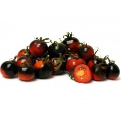 INDIGO ROSE Tomato Seeds 2.5 - 1