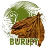 Burley Tobacco Seeds cocoa like aroma | 1,95 €