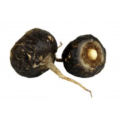 Мака перуа́нская черный семена (Lepidium meyenii) 2.049999 - 1
