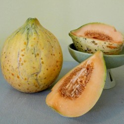 Eel River Melon Seeds 2.049999 - 5