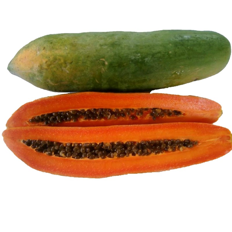 Dwarf Long Papaya Seeds KAK DUM Variety | €2.75