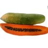Dwarf Long Papaya Seeds KAK DUM Variety | €2.75