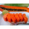 Dwarf Long Papaya Seeds KAK DUM Variety | €2.75