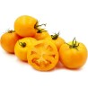 Semillas De Tomate Golden Jubilee | 1,55 €