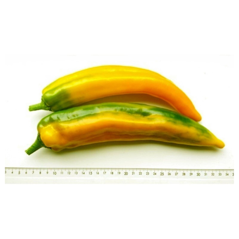 Маркони желтый сладкий перец семена - Цена: €1.65