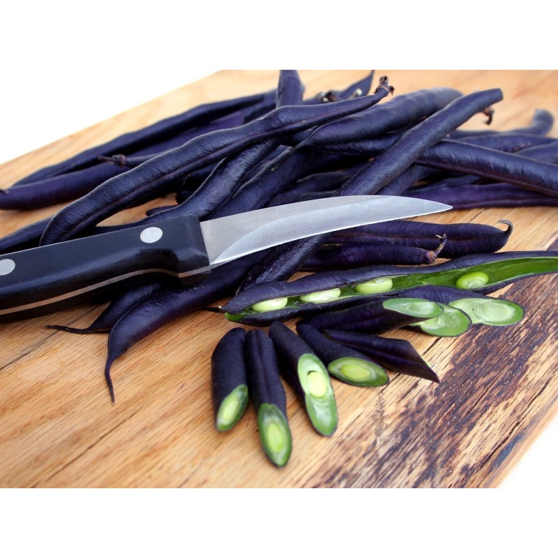 Seme Boranije - Pasulja Blauhilde | 1,95 €