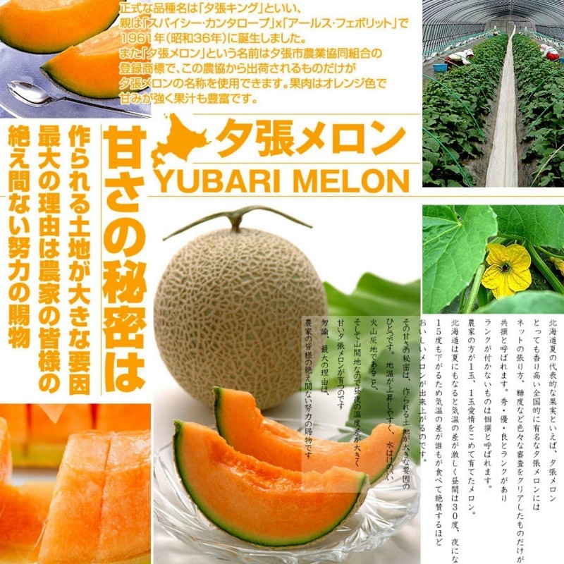 Yubari король семечки дыни, самый дорогой фрукт на мир - Цена: €4.95